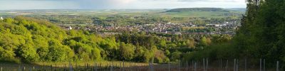 joigny compress exode